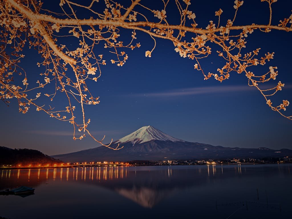 Serene nighttime scene of Mount Fuji with cherry blossoms foreground.
